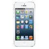 Apple iPhone 5 16Gb white - Грязовец